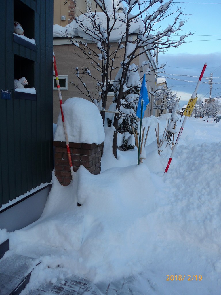 朝の雪