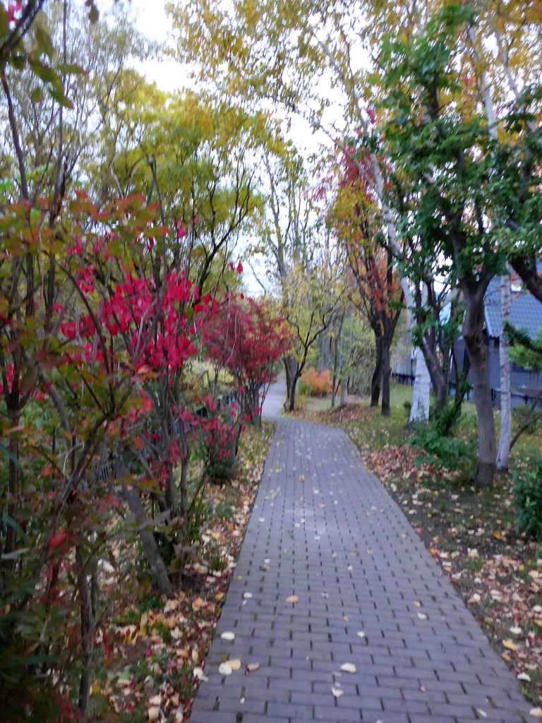 散歩道　紅葉