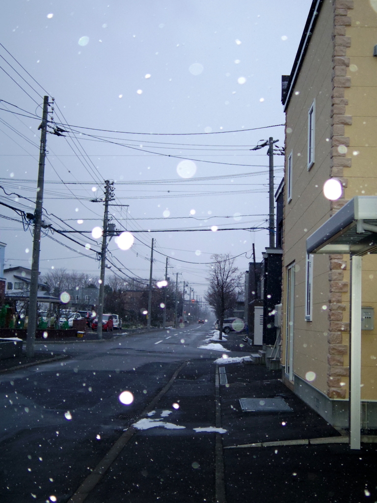 降出した雪