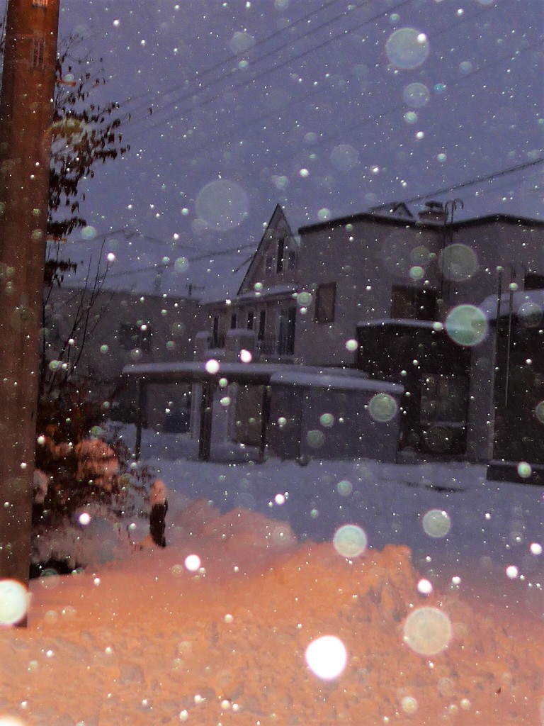 よく降る雪