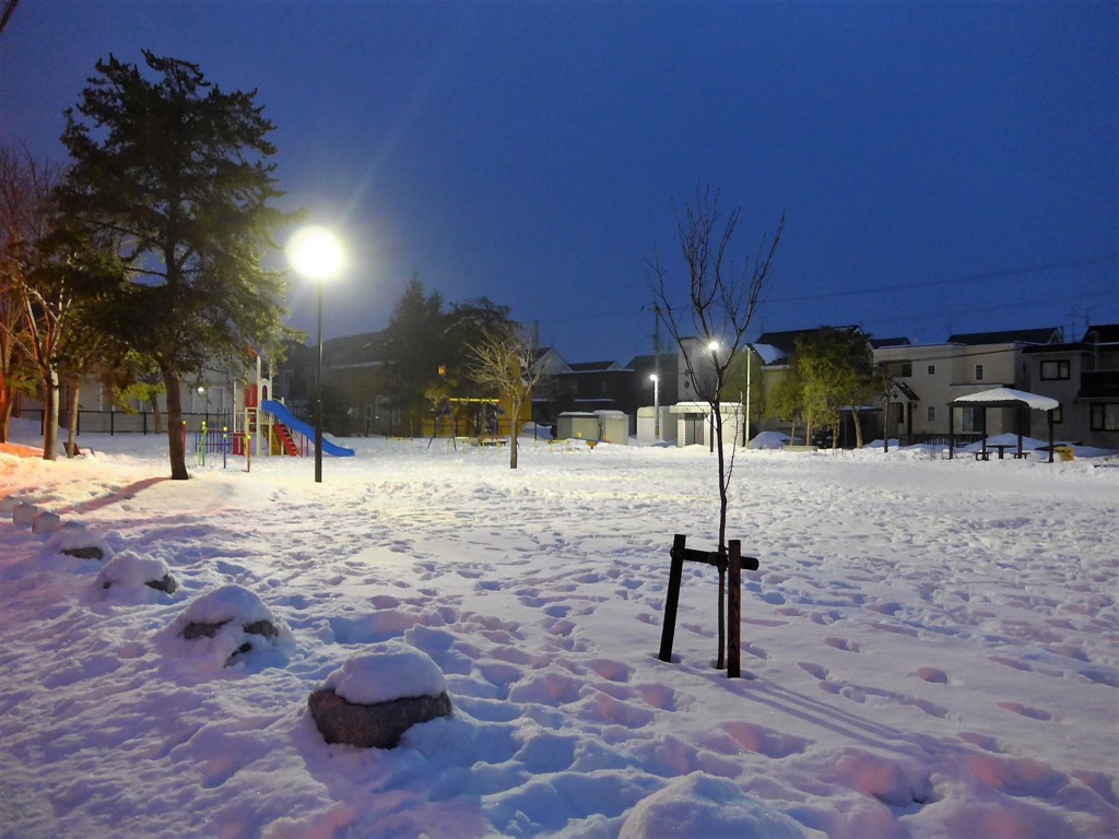 朝の公園