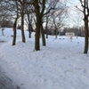 西公園