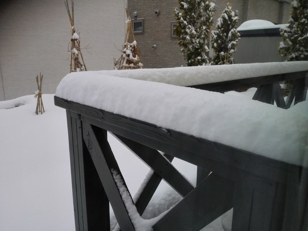 手摺の雪