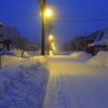 朝靄