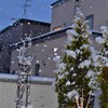 ボタン雪