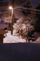 穏やかな雪の夜