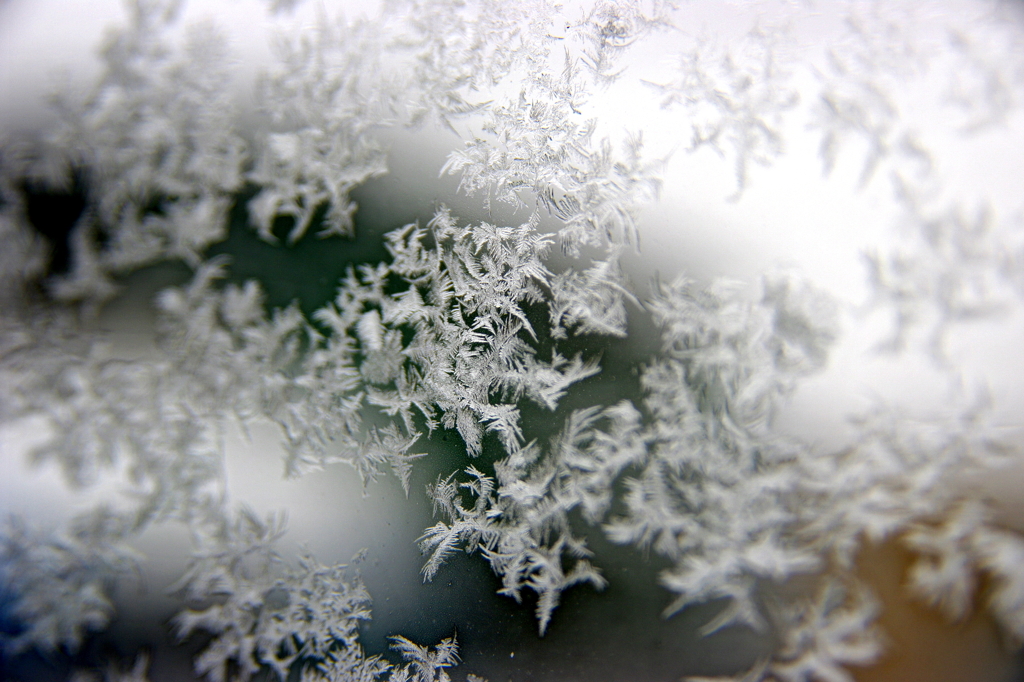 今朝の雪の結晶