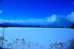 ブルーの雪原