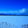ブルーの雪原