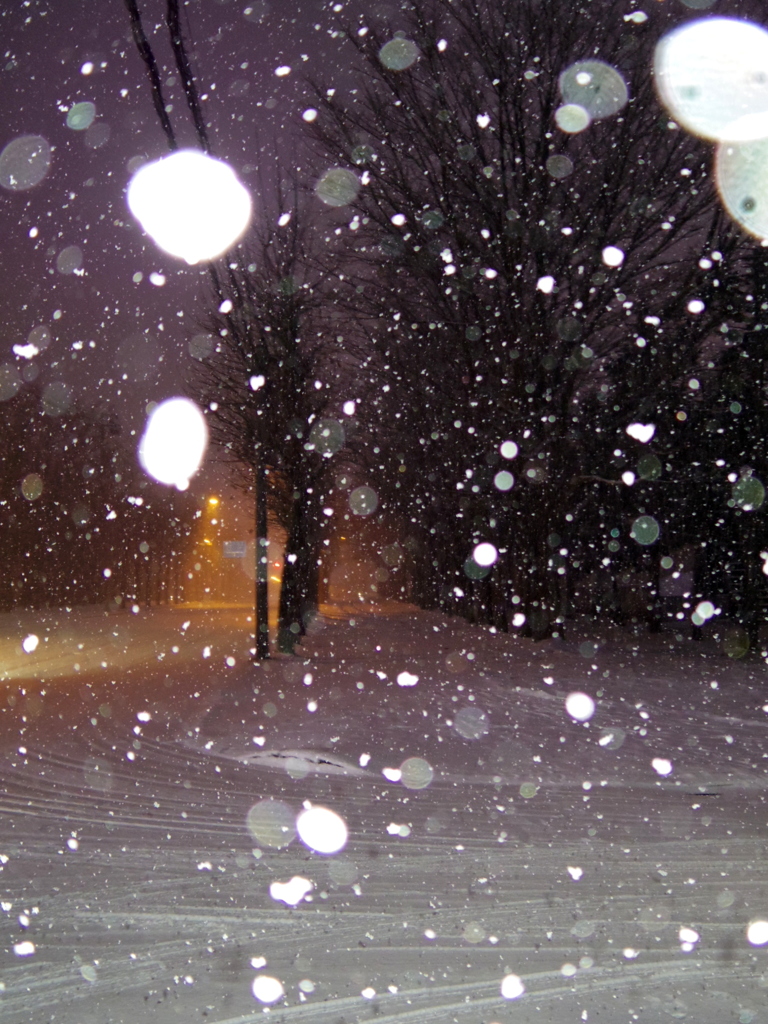 雪の朝