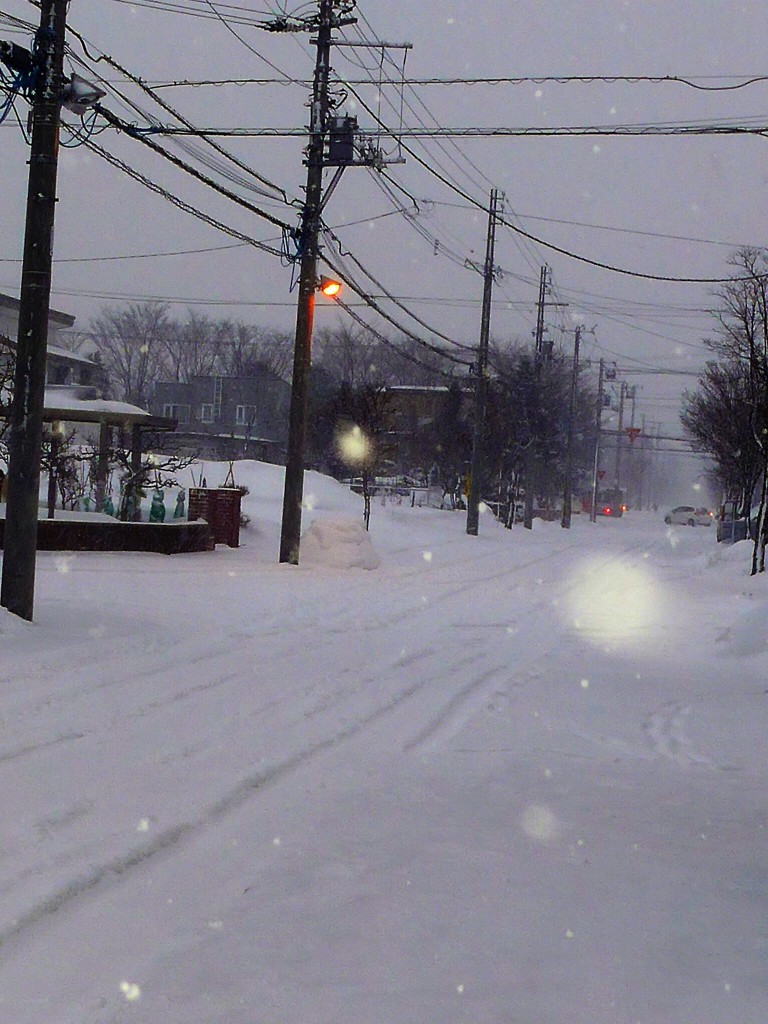 雪の日
