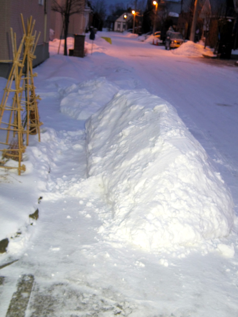 積雪初排雪日