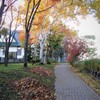 散歩道　紅葉