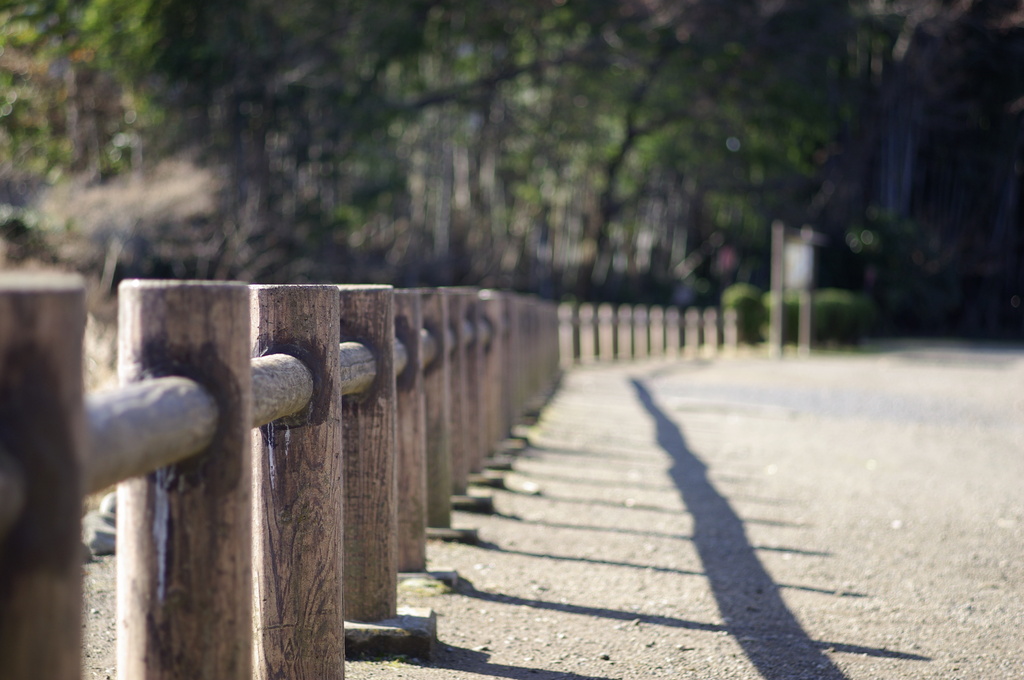 昼下がりの公園