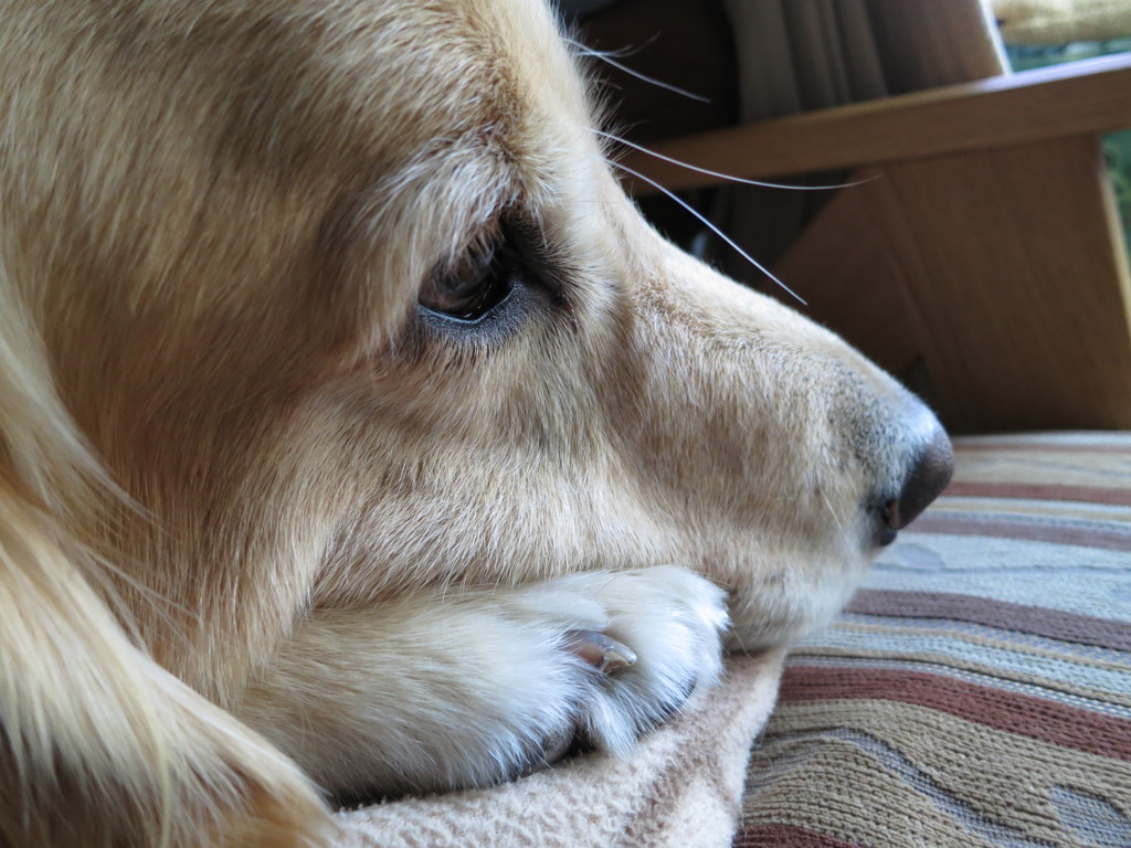 お外に行きたいな！