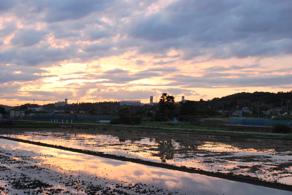 田植え前の夕焼け