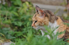 DSC_1028_029