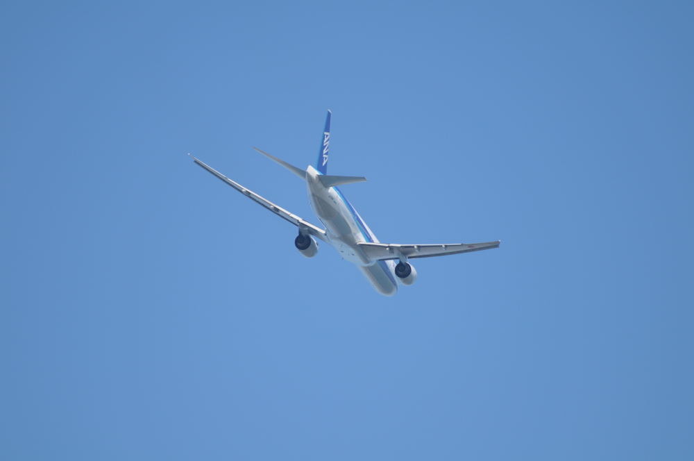 DSC_1589_011