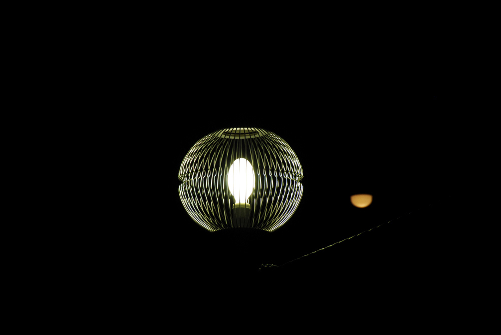 DSC_0237