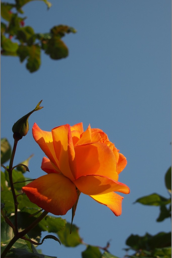 P5050280