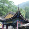 DCM_9474