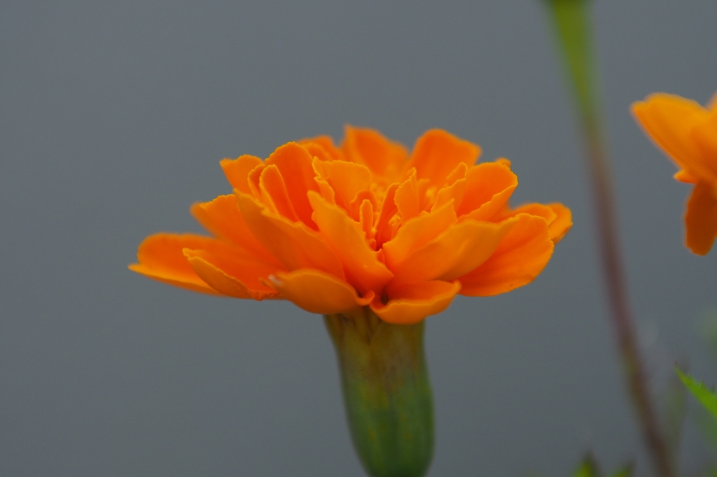 P7170446
