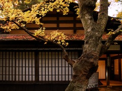 武家屋敷の秋