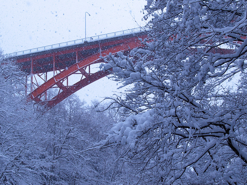 雪、降りやまず