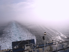 海霧