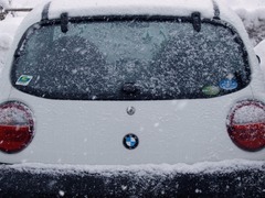 BMW(maybe)