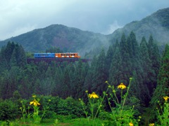 列車が山の中を行く