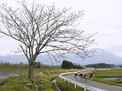 通学路