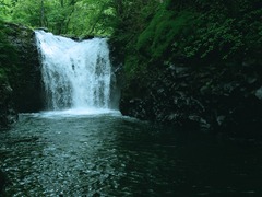 滝
