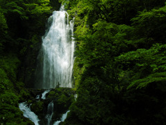 回顧の滝