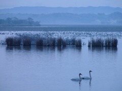 湖沼早暁