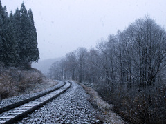 初雪