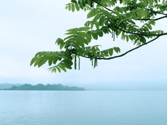 十和田湖