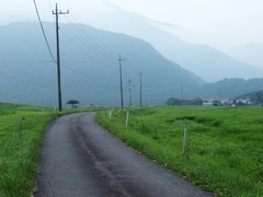 野辺の道
