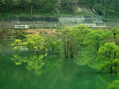 ダム湖のほとり