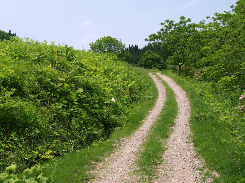 田舎道