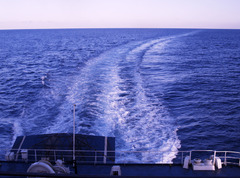 航跡