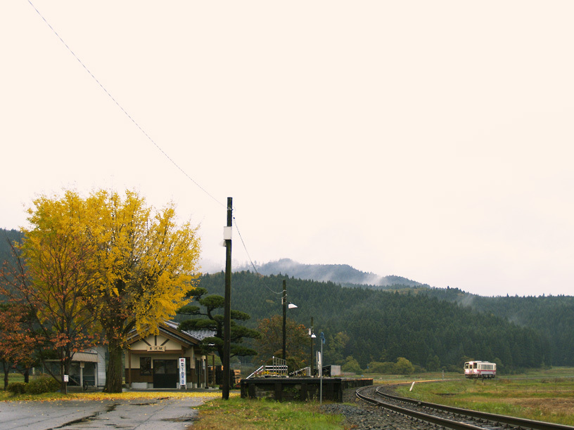 秋の雨