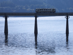 湖上列車