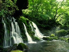 伏流水湧く