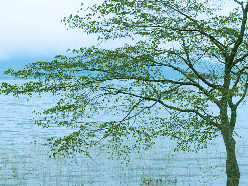 湖畔にて