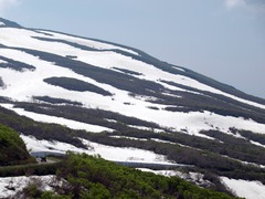 残雪