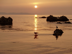 笹川流れ