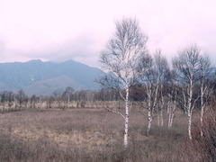 戦場ヶ原