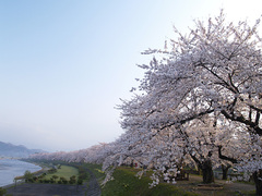角館