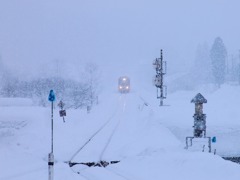 吹雪の日